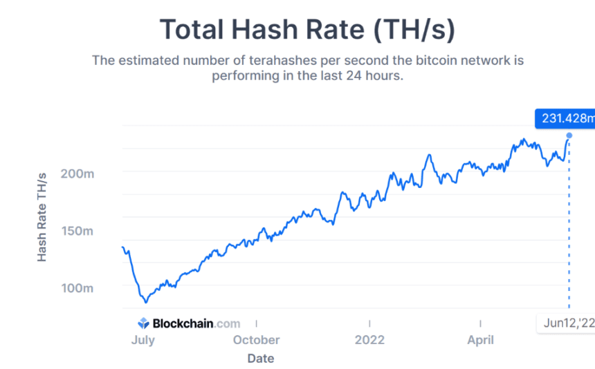 Bitcoin Hash Rate Jumps To Sky As BTC Falls Below $25k
